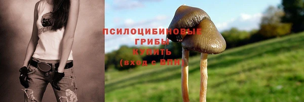 гидропоника Киреевск