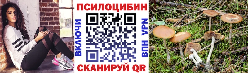 Купить закладки  Богородицк  Галлюциногенные грибы MAGIC MUSHROOMS 