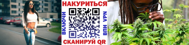 Купить закладки  Богородицк  Бошки Шишки VHQ 